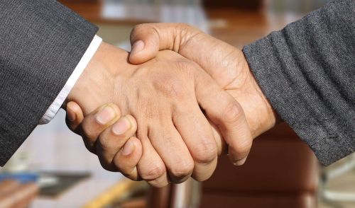 immagine della notizia